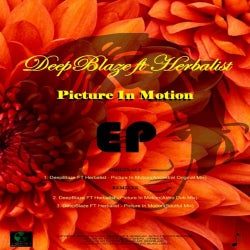 Picture In Motion EP