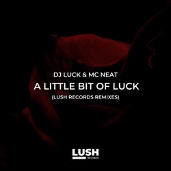 A Little Bit of Luck Remixes