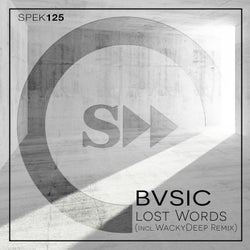 Lost Words (incl.Wacky Deep Remix)