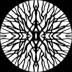 Procyon