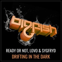 Drifting In The Dark