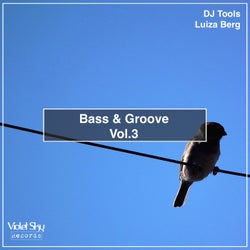 Bass & Groove, Vol. 3