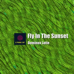Fly In The Sunset