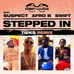 Stepped In (Sexy Back) [TIEKS Remix]