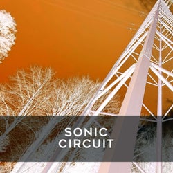 Sonic Circuit