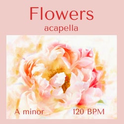 Flowers Acapella [120 BPM / a Minor]