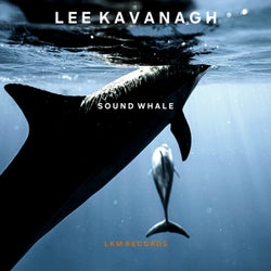 SOUND WHALE