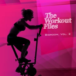 The Workout Files - Bigroom, Vol. 2