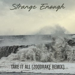 Take it all (ZOODRAKE Remix)