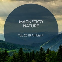 Top 2019 Ambient