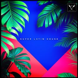 Super Latin House