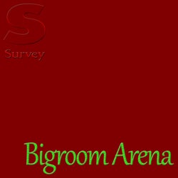 Bigroom Arena