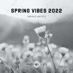Spring Vibes 2022