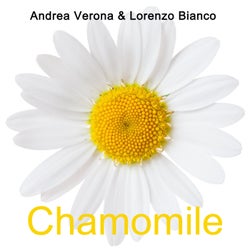 Chamomile