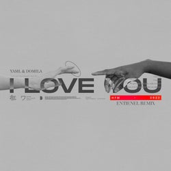 I Love You (feat. Domila)