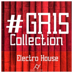 GR 15 Collection Electro House