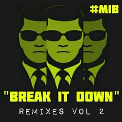 Break It Down (Remixes, Vol. 2)