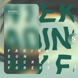 Fading Sun / Secret Forest