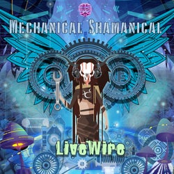 Mechanical Shamanical