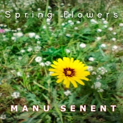 Spring Flowers