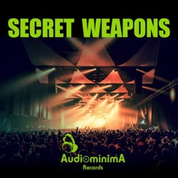 Secret Weapons 2