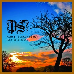 Pauke Schaumburg - July Selections