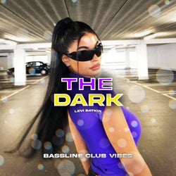 The Dark (feat. Levi Batkin)