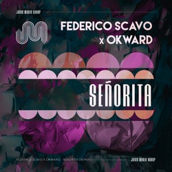 Señorita (Federico Scavo Remix)