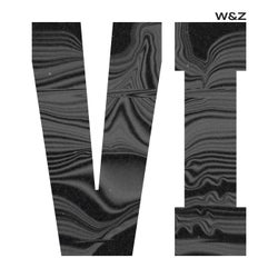Vi