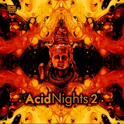Acid Nights 2