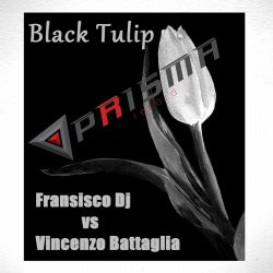 Black Tulip