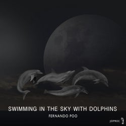 Swimming In The Sky With Dolphins