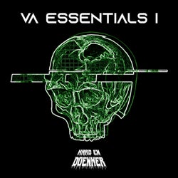 VA Essentials 1