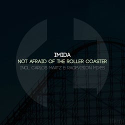 Not Afraid of The Roller Coaster