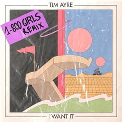 I Want It (1-800 GIRLS Remix)