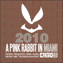 A Pink Rabbit In Miami