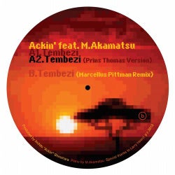 Tembezi (feat. M.Akamatsu)