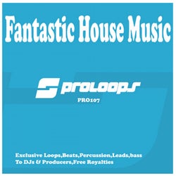 Fantastic House Music Loops