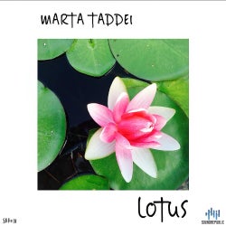 Lotus Chart