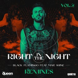 Right in the Night, Vol. 2 (The Remixes)