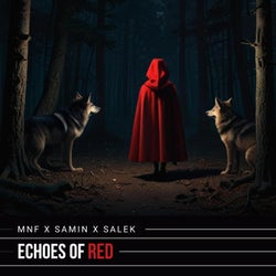 Echoes of RED (feat. SAMIN)