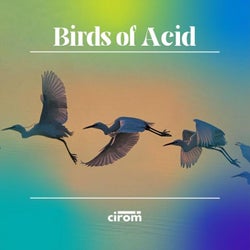 Birds of Acid