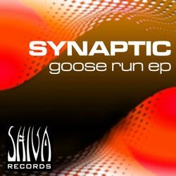 Goose Run EP
