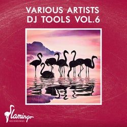 DJ Tools Vol.6 - Extended Mix