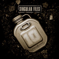 Singular Files 10