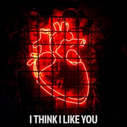 I Think I Like You