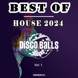 VA - Best Of House 2024, Vol. 1