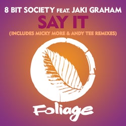 Say It - Includes Micky More & Andy Tee Remixes