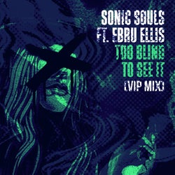 Too Blind To See It (feat. Ebru Ellis) (VIP Mix) (Extended Mix)