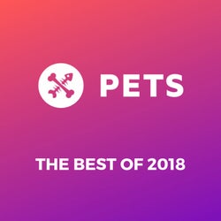PETS Recordings Best of 2018